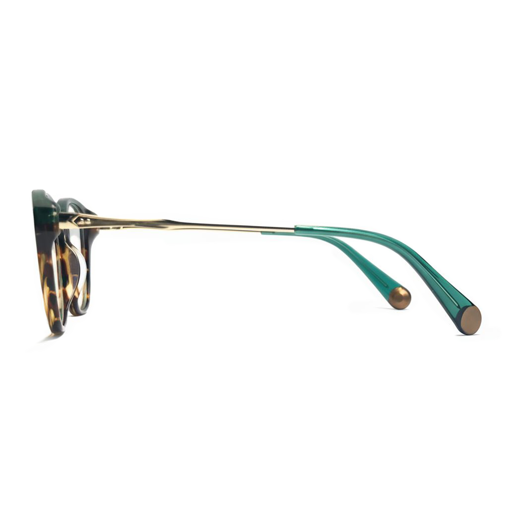 Eyeglasses with tortoiseshell frame and green arms on a white background