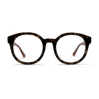 Tortoiseshell eyeglasses on a white background