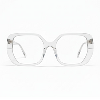 Clear eyeglasses with silver accents on a white background