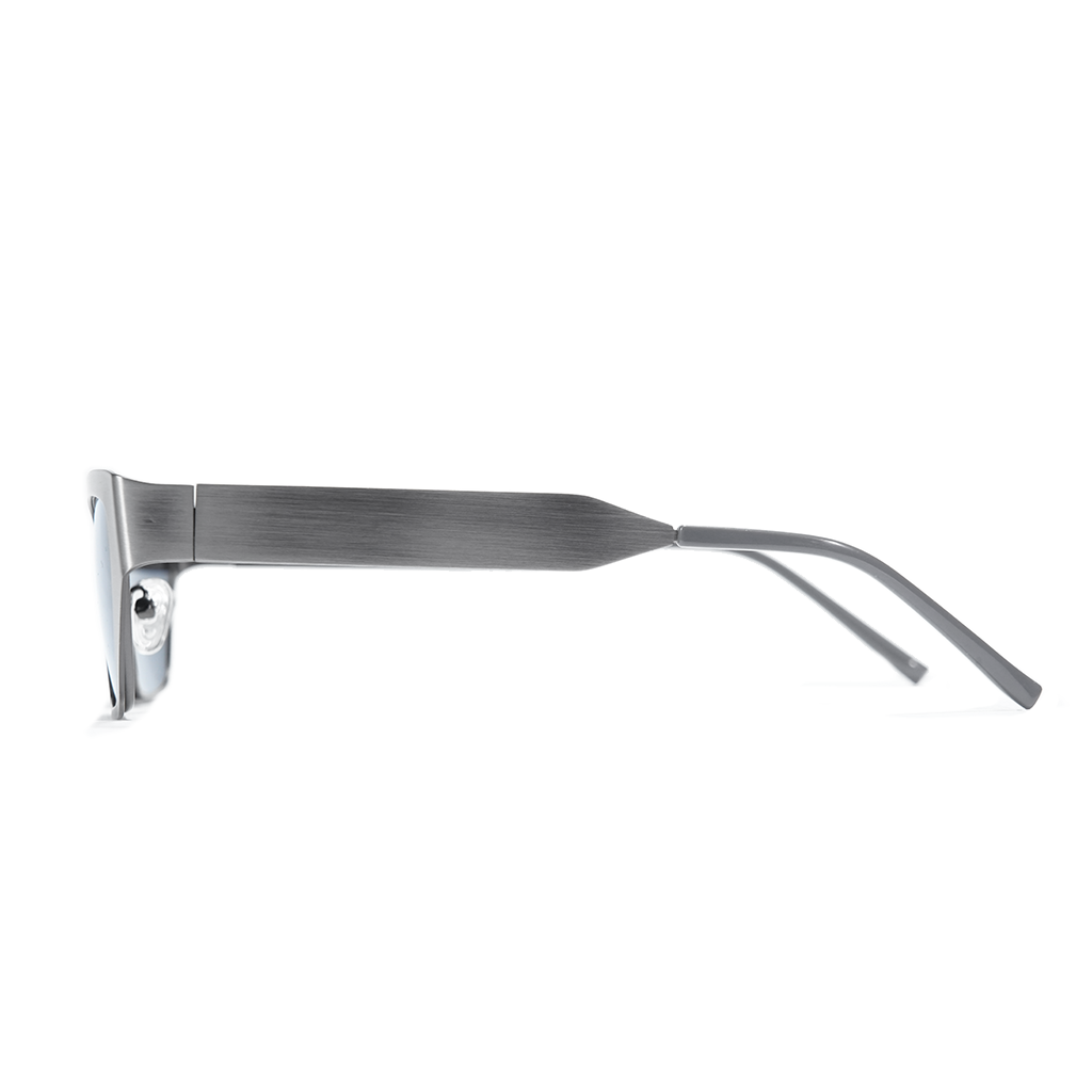 A pair of sunglasses with a brushed silver metal frame and matching silver temples, shown in a side profile view against a solid white background.