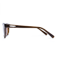 Side profile of a pair of sunglasses with a translucent dark brown acetate frame and brown lenses, shown on a solid white background.