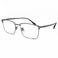 Pair of eyeglasses with a metallic frame on a white background