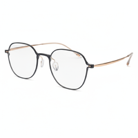 Round eyeglasses with black frame and gold accents on a white background