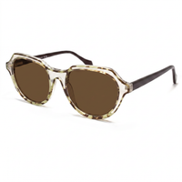 Oversized sunglasses with a translucent tortoiseshell frame in beige and brown, paired with dark brown lenses and dark brown temples, shown on a white background.