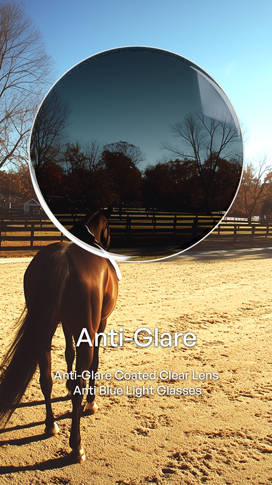 A horse stands in a sandy outdoor paddock with a large circular inset showing a dark, anti-glare lens reflection. White text reads 'Anti-Glare' and 'Anti-Glare Coated Clear Lens' and 'Anti Blue Light Glasses.