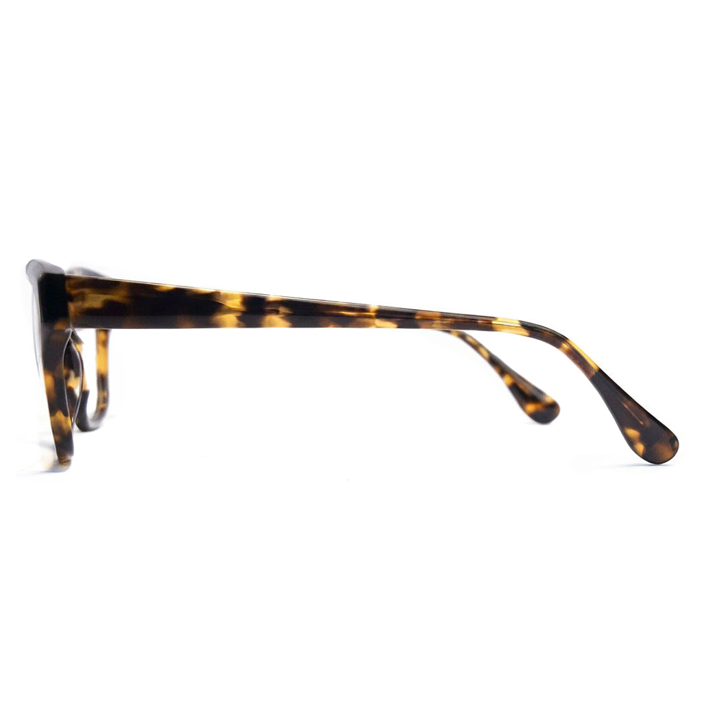 Tortoiseshell eyeglasses on a white background
