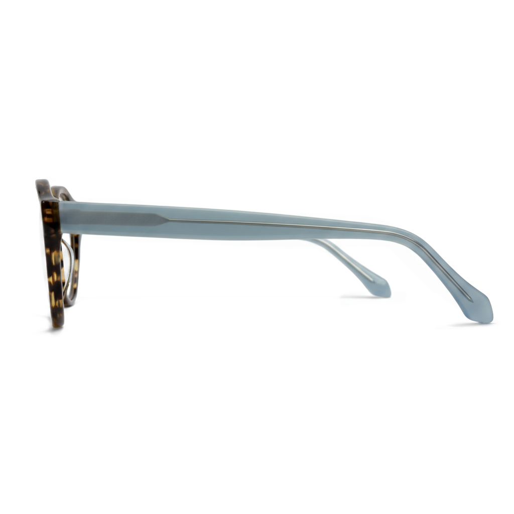 Light blue sunglasses with tortoiseshell arms on a white background