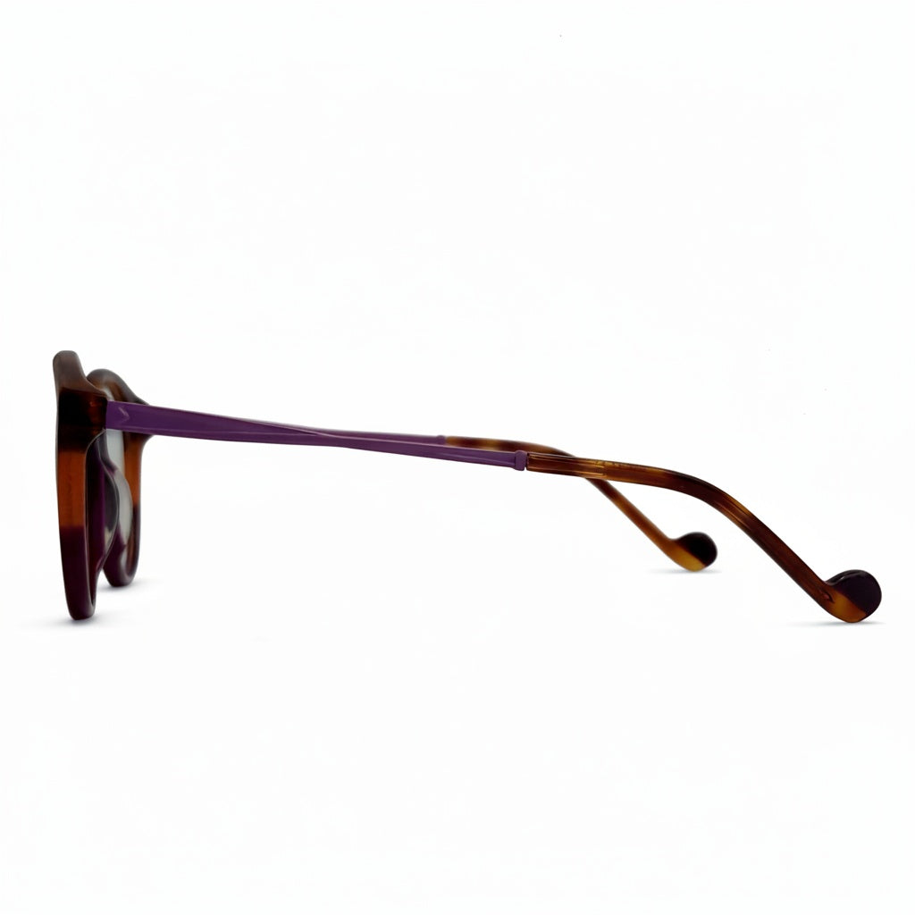 Sunglasses with tortoiseshell frame on a white background