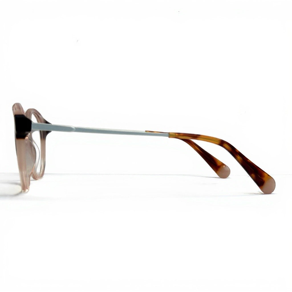 Eyeglasses with tortoiseshell arms on a white background