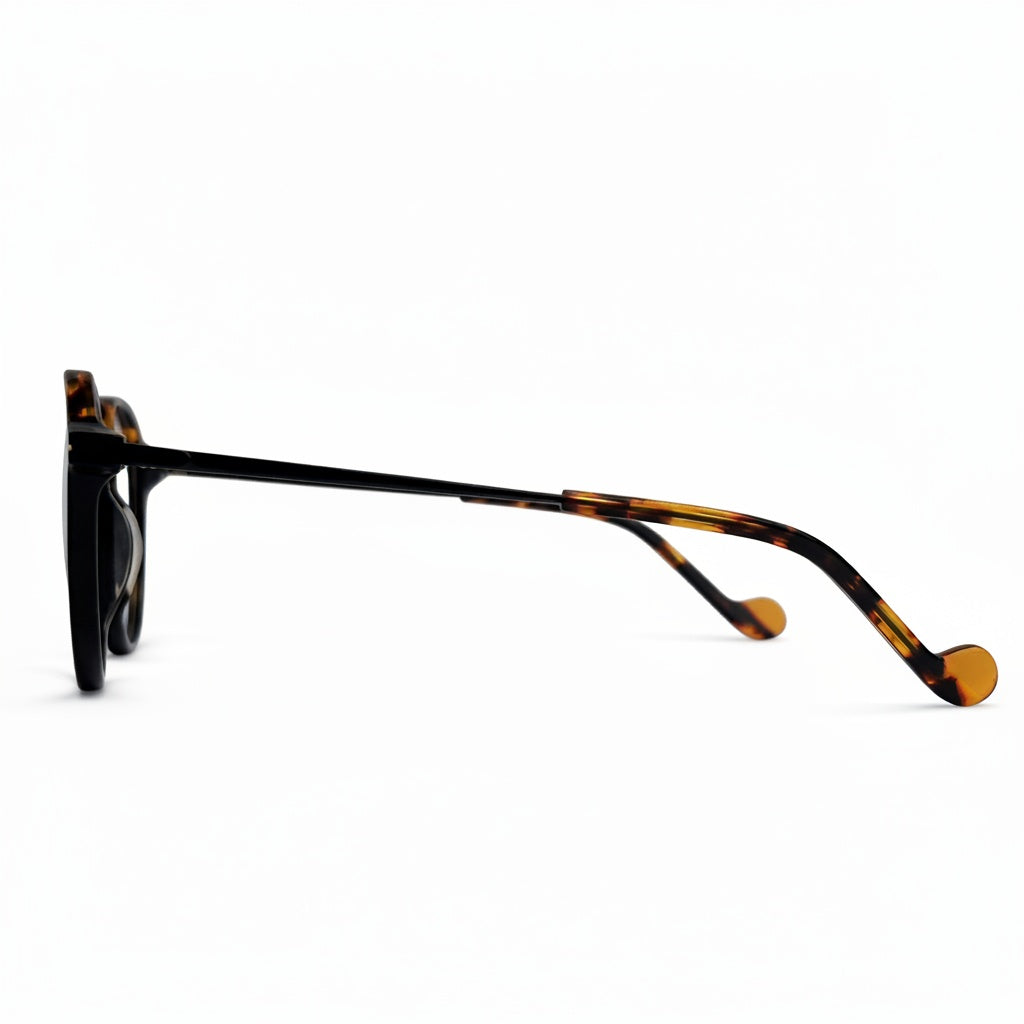 Sunglasses with tortoiseshell frame on a white background